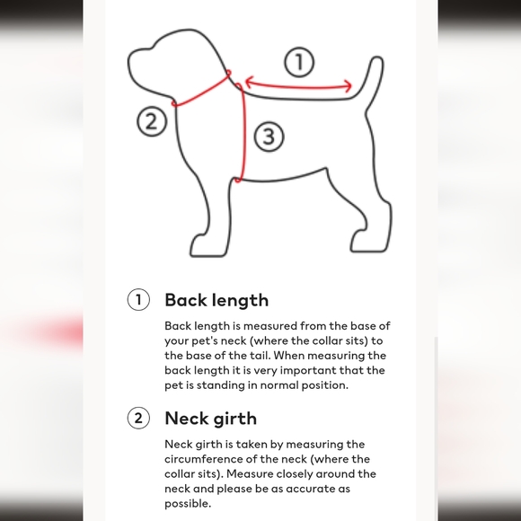 Dog Valentine Shirt size Small - Picture 4 of 6